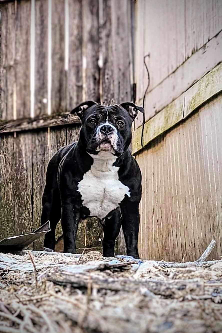 429456249_377296098404961_2876050256240037904_n