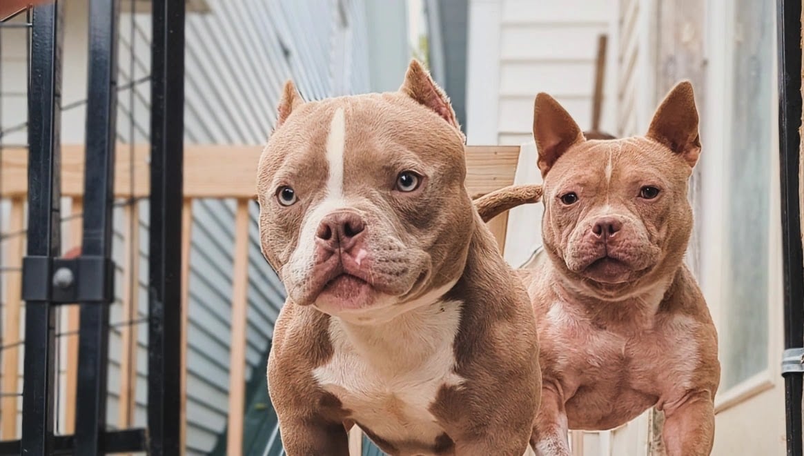 IMG_20240910_133904_418