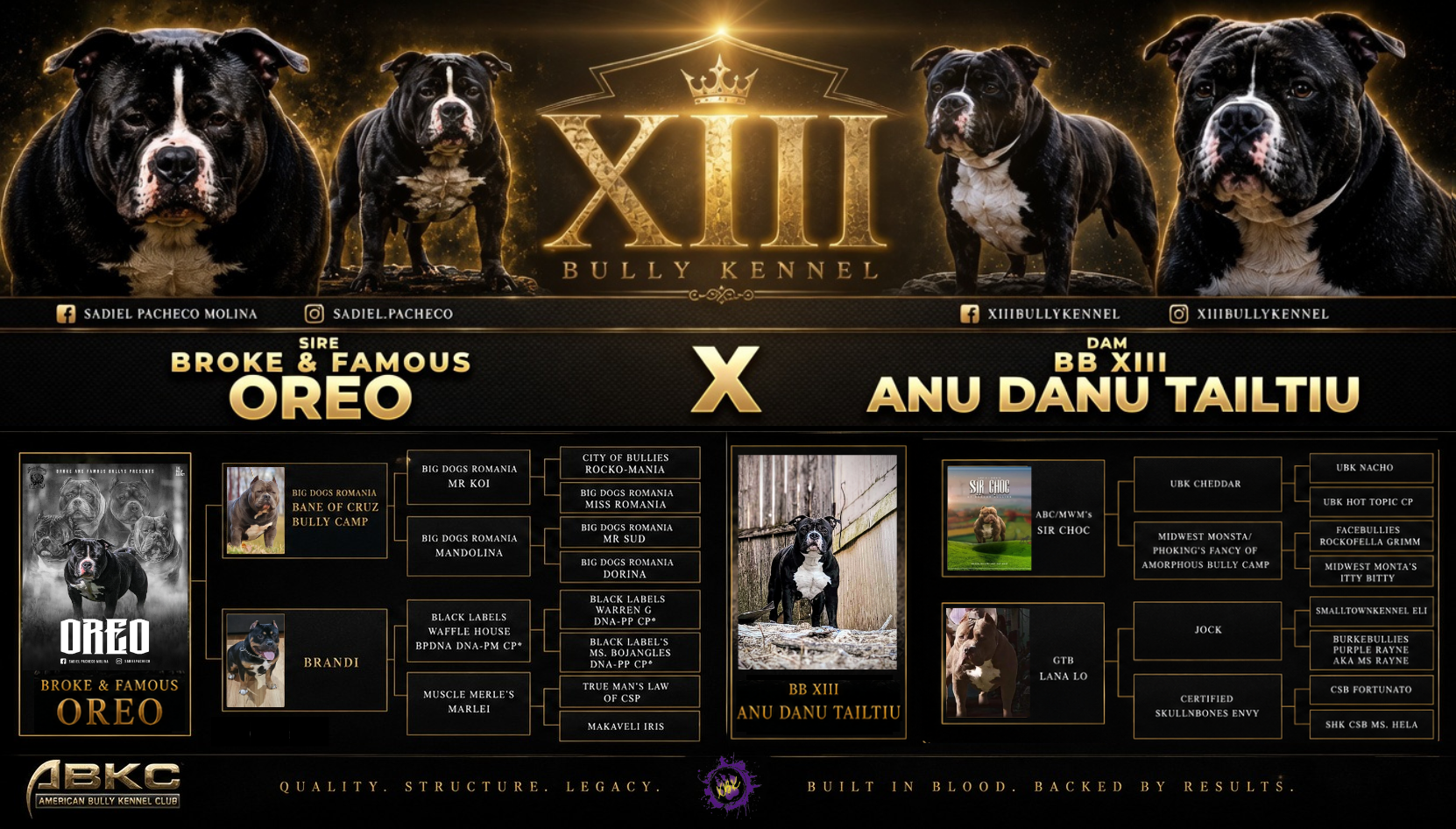 BB XIII Anu Danu Tailtiu BB XIII Anu Danu Tailtiu